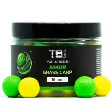 TB BAITS - Plovoucí boilie Pop-Up Amur 16 mm 50 g + NHDC TB BAITS - Plovoucí boilie Pop-Up Amur 16 mm 50 g + NHDC